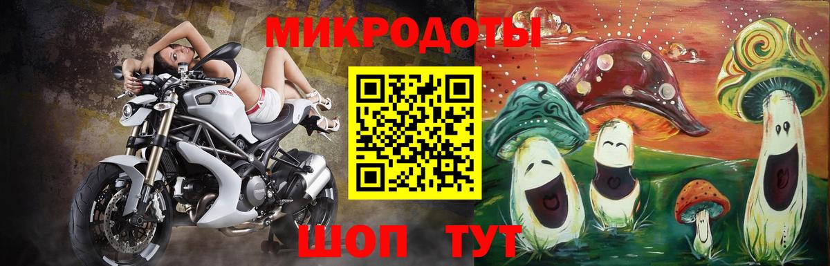 наркота  Псилоцибиновые грибы GOLDEN TEACHER  Михайловск  Вход с VPN  Псилоцибиновые грибы ЛСД 